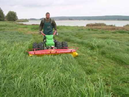 Disc Mower